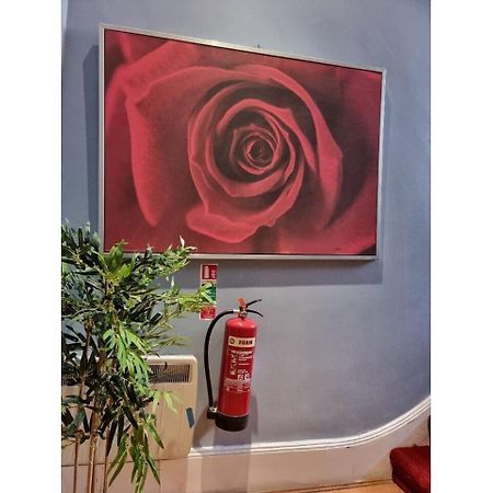 F301-Awesome 3Rd Flr Studio Fits 1 Near Hyde Park Londra Esterno foto