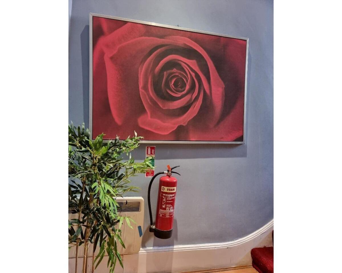 F301-Awesome 3Rd Flr Studio Fits 1 Near Hyde Park Londra Esterno foto